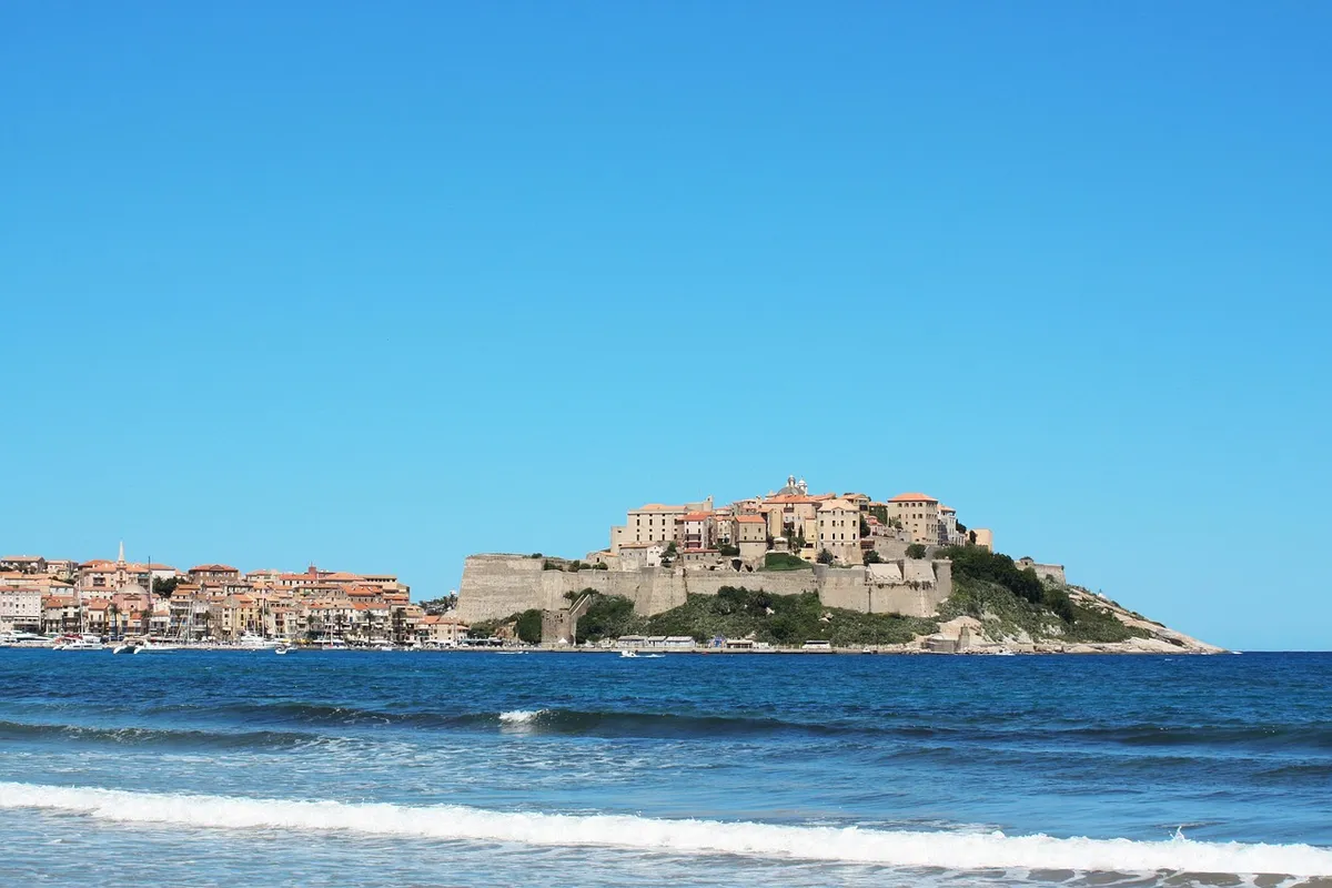 El pinar