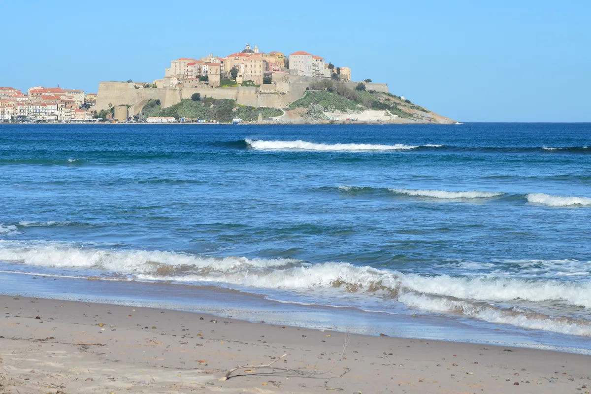 La playa y el pinar de Calvi