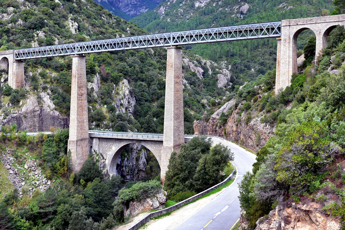 El Vecchio y el bosque de Vizzavona