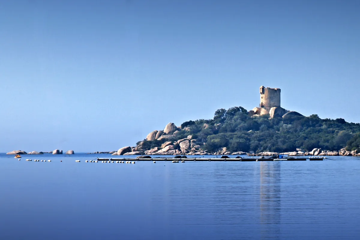 El golfo de Figari