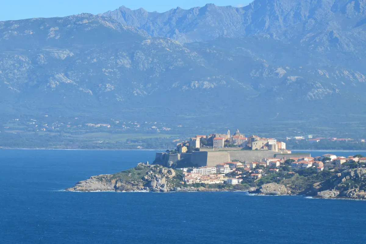Calvi