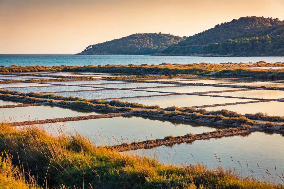 El puerto y las salinas