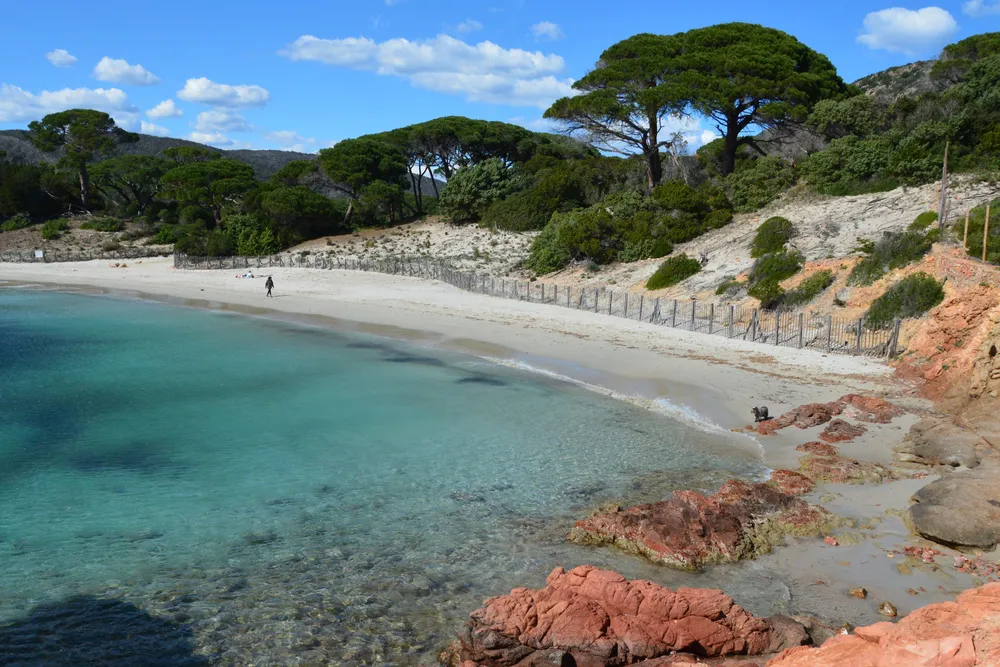 Una ensenada de arena clara bordeada de pinos y rocas rojas, en Porto-Vecchio