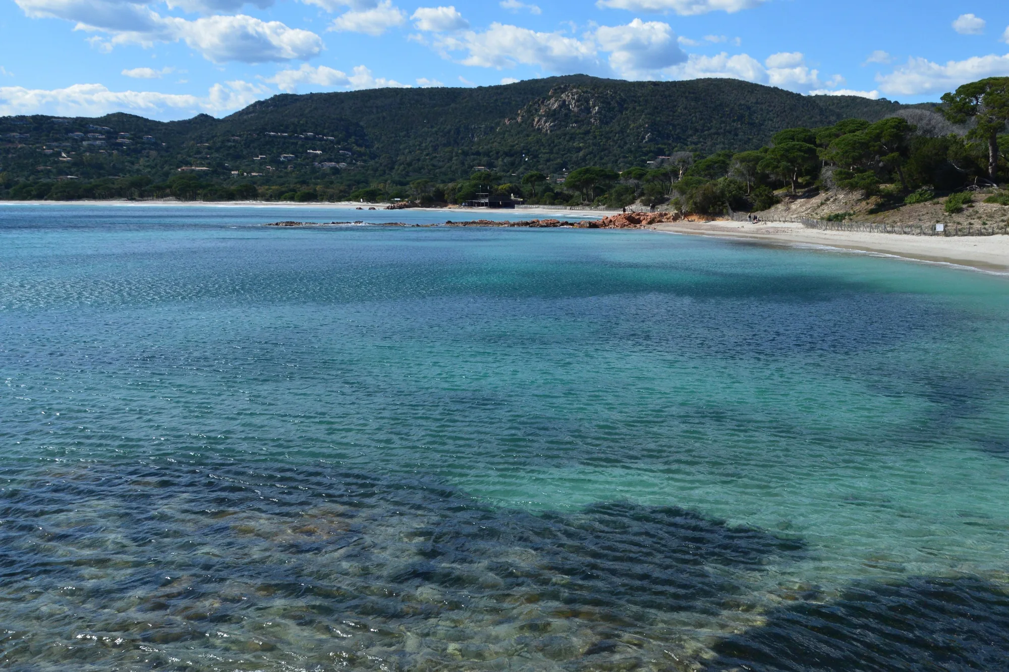 Une plage de Porto-Vecchio, l’eau turquoise et les pins au bord du sable