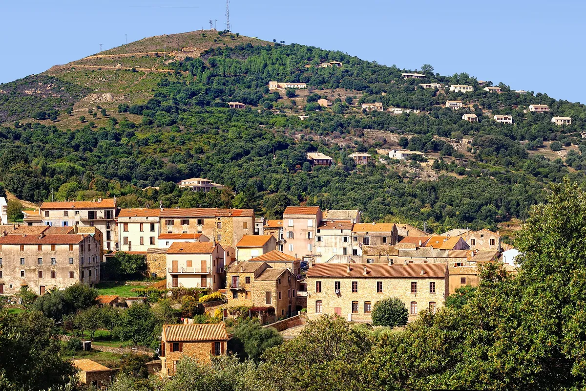 Piana