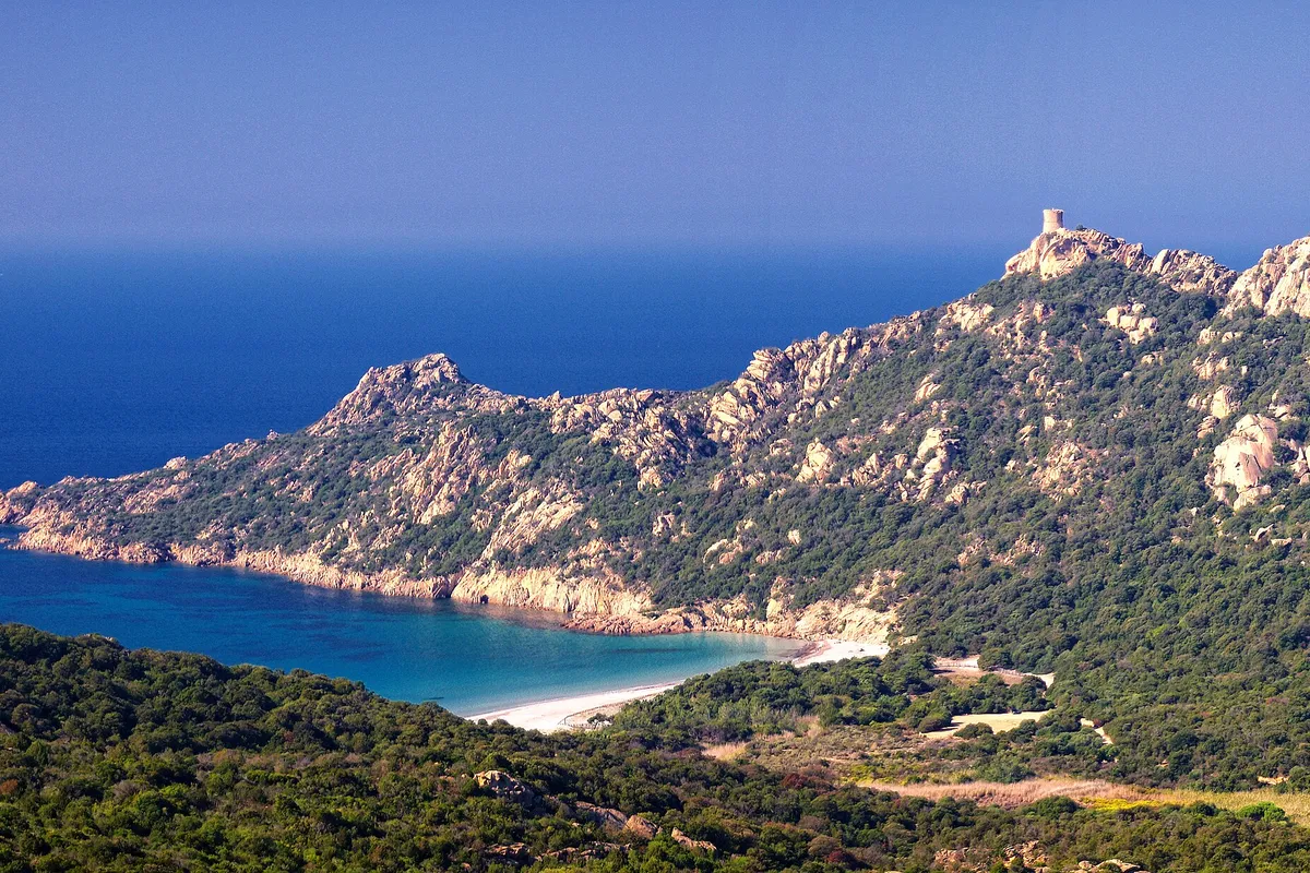 El león de Roccapina