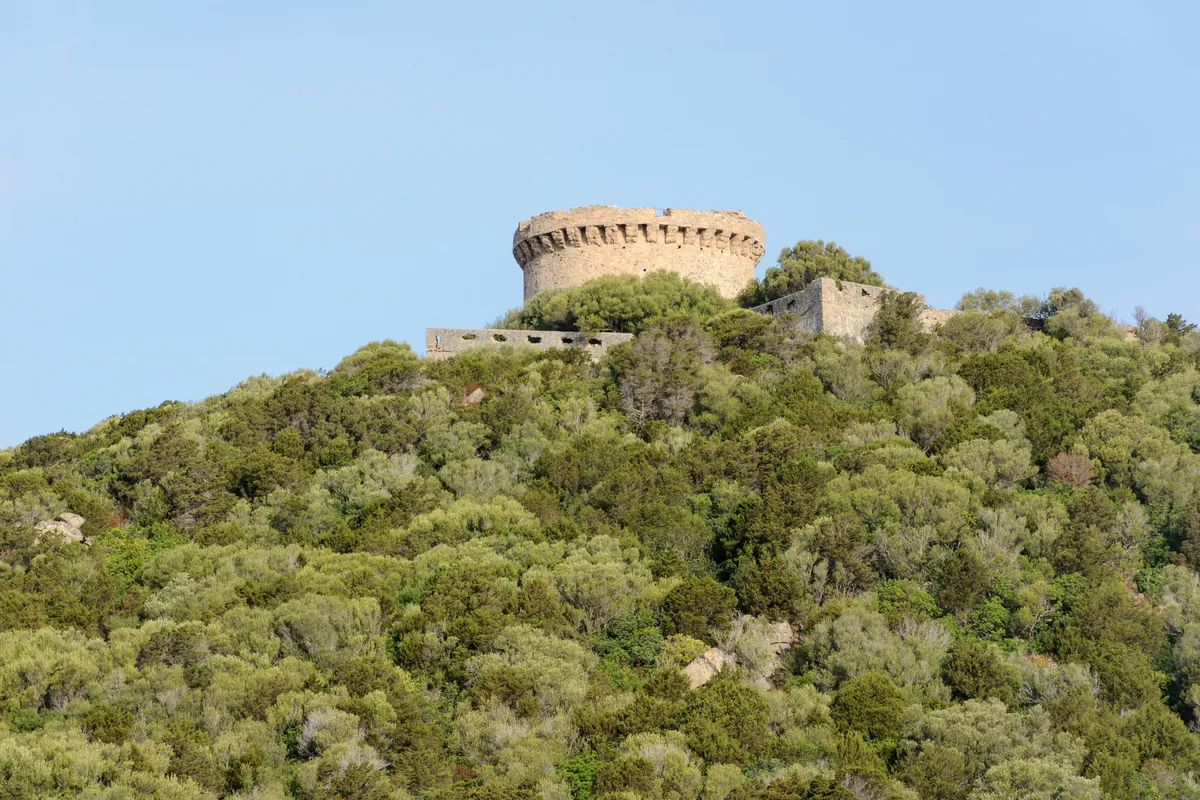 Campomoro y su torre