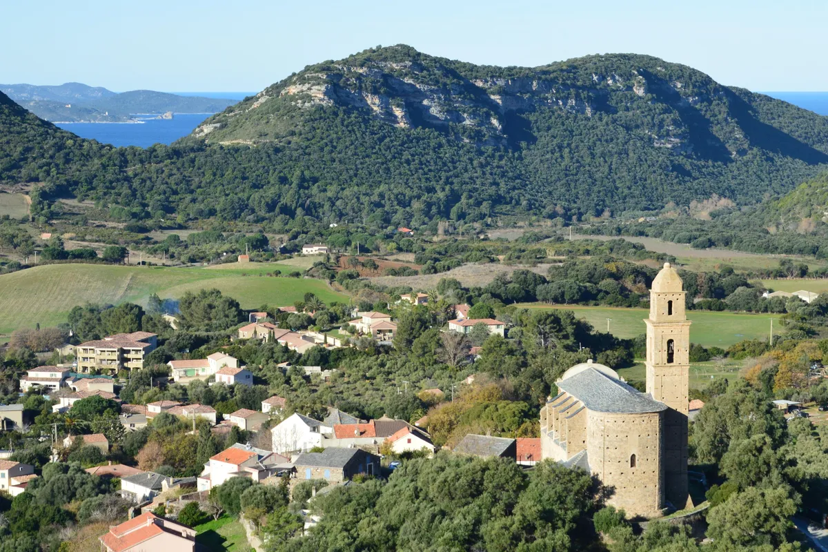Patrimonio y sus viñedos