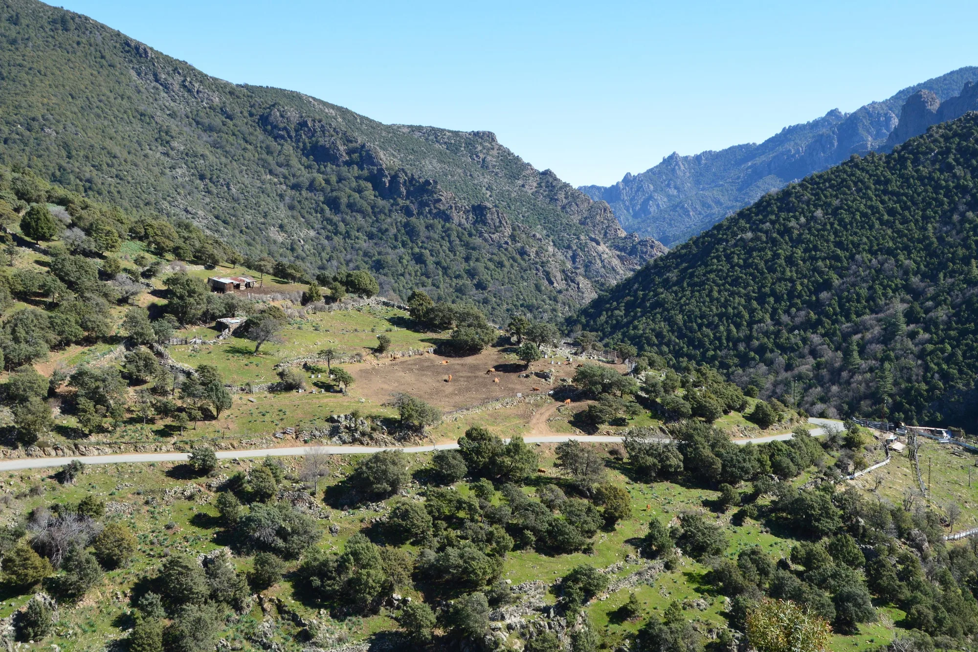 La vallée d’Asco et ses montagnes