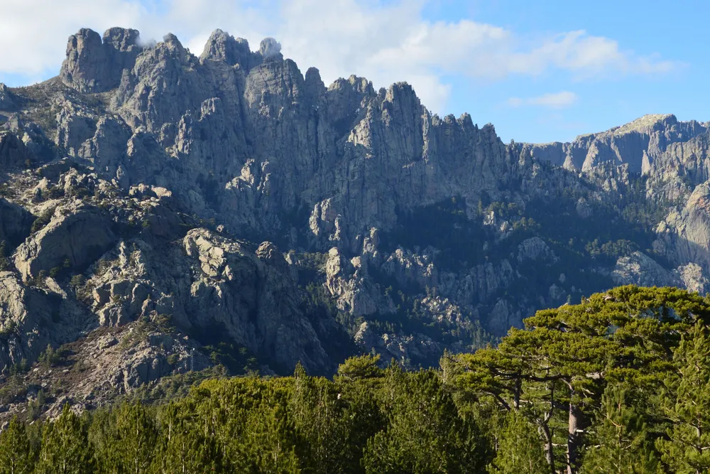 Las agujas y los bosques del macizo por encima de Zonza