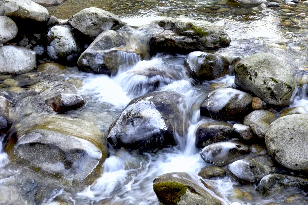 El arroyo Agnone en el bosque de Vizzavona