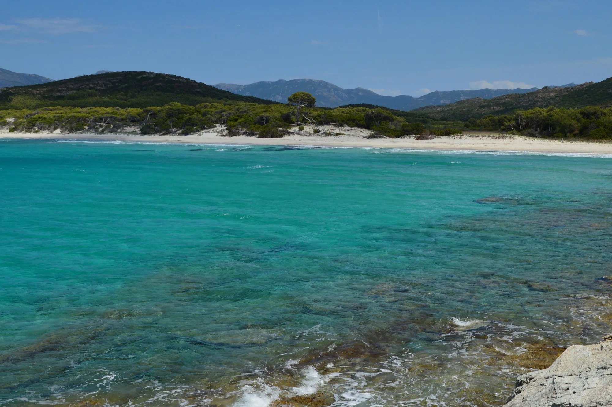 L’eau turquoise et la longue plage de Saleccia, bordée de pins