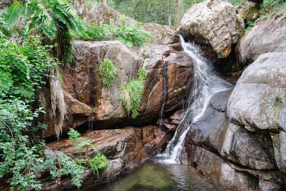Una cascada del Aïtone entre rocas y helechos