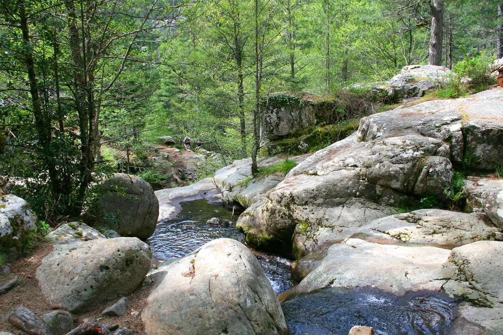 El río Aïtone y sus losas de granito en el bosque