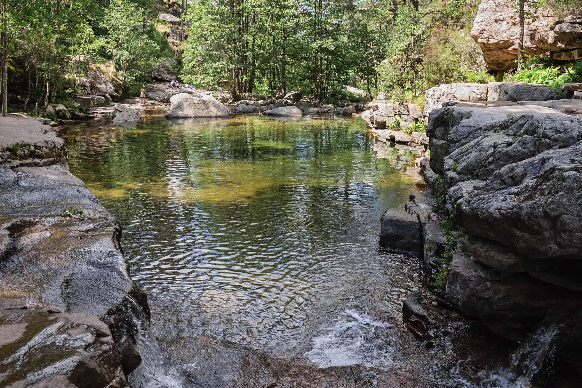 Une piscine naturelle de l’Aïtone sous les pins, près d’Évisa