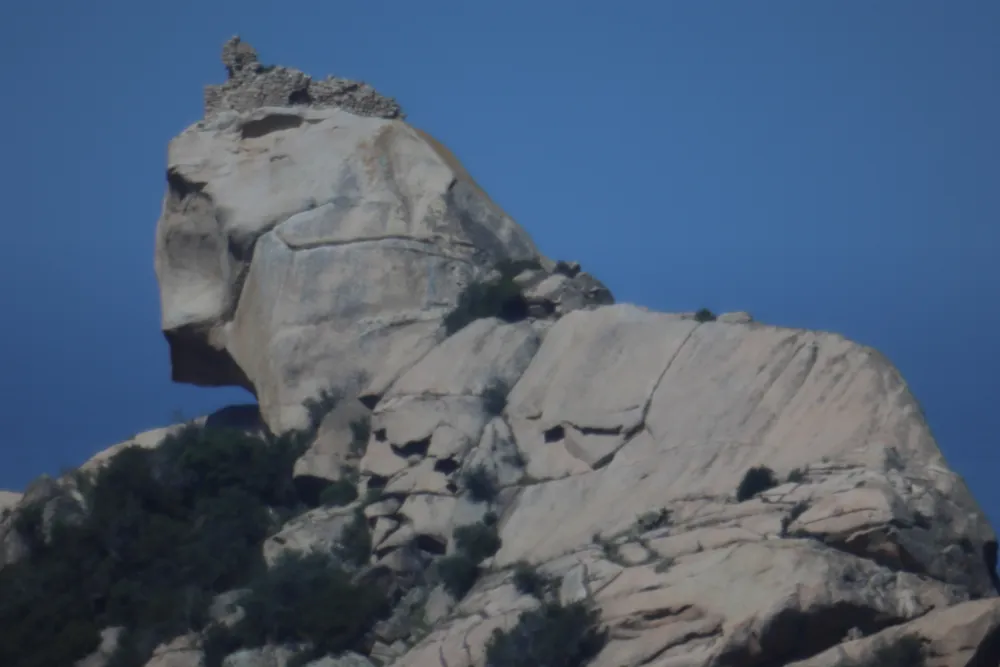 El león de Roccapina de cerca, esculpido por la erosión