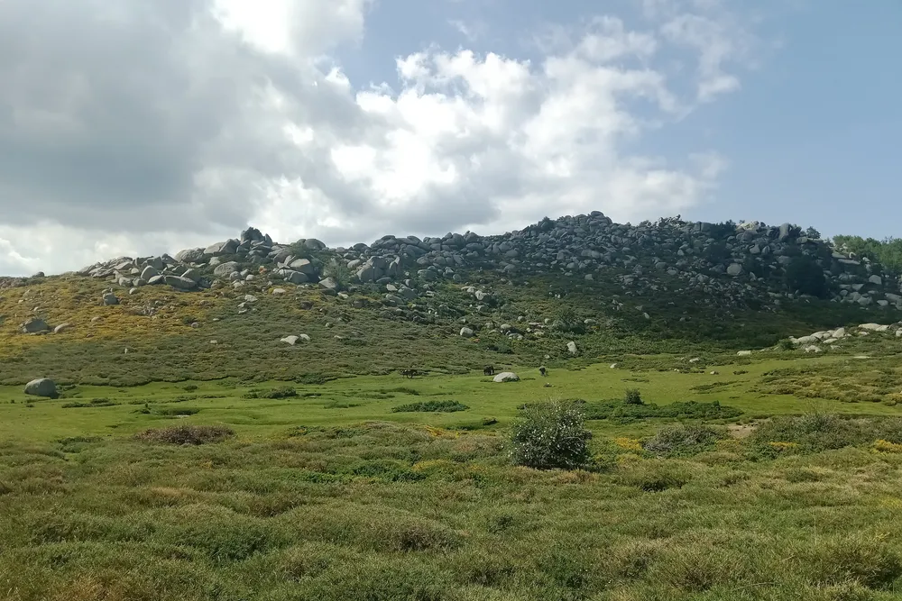 Los prados de la meseta del Coscione y sus crestas de granito