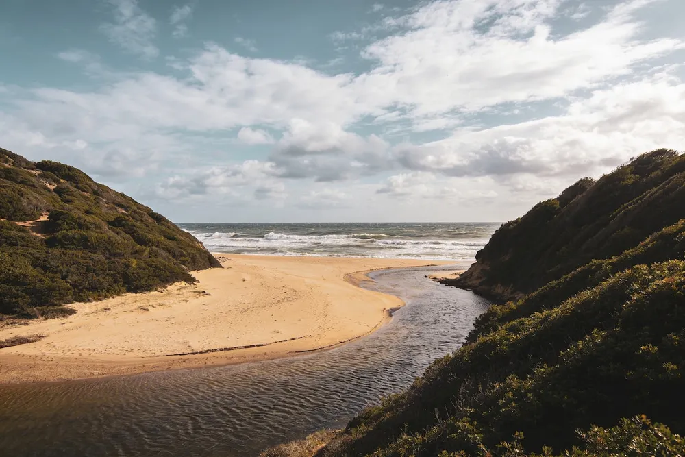 Ilustración de una playa en la desembocadura de un río, entre dos colinas de maquis