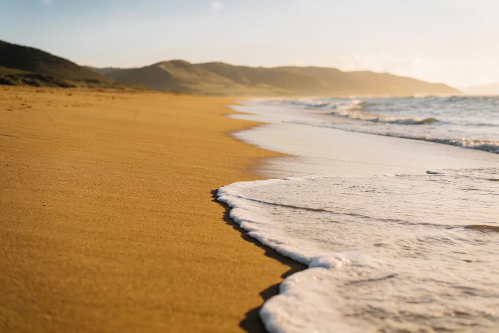 Ilustración de una larga playa de arena dorada con las olas en la orilla